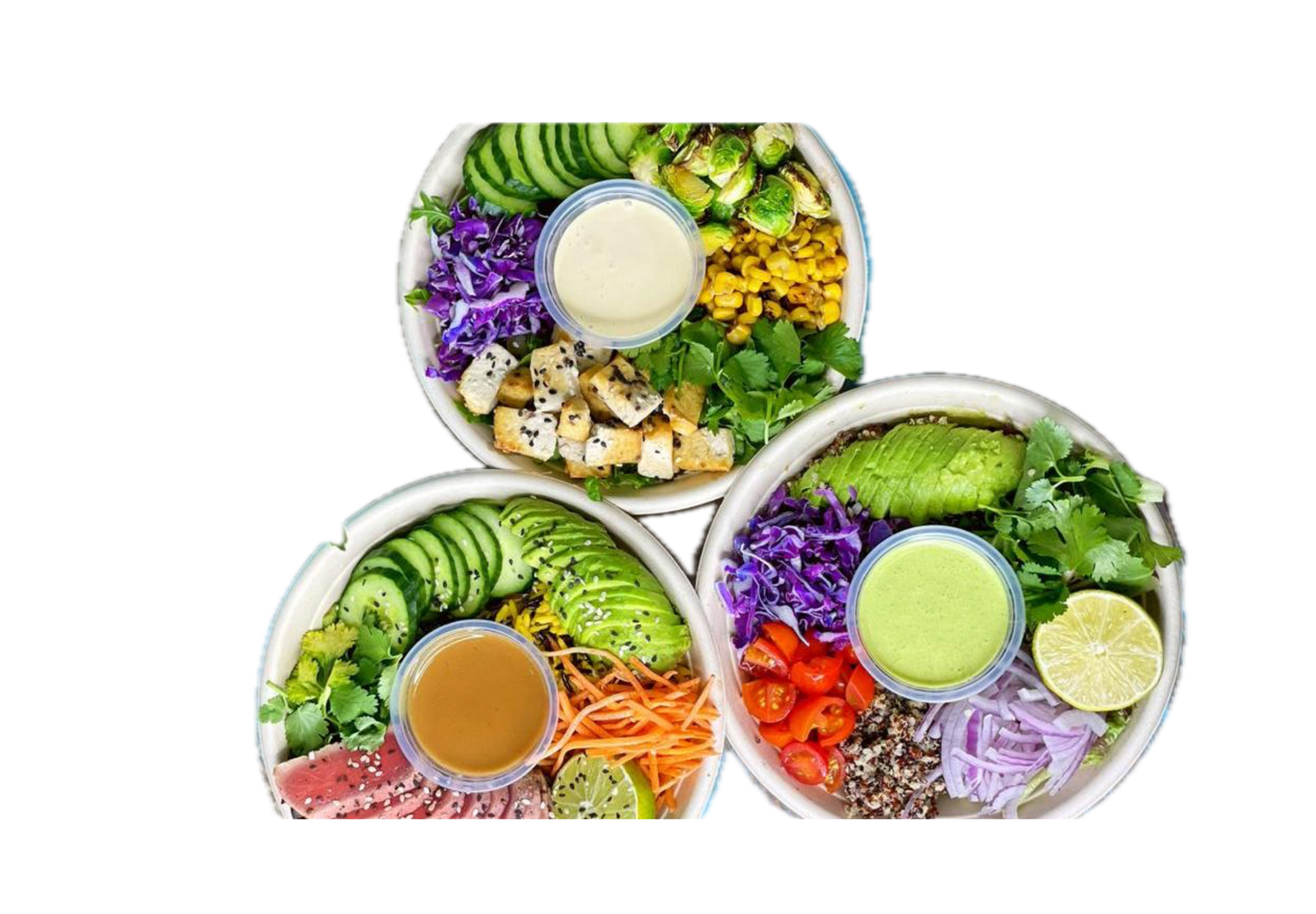 32oz Eco-Friendly Bowl Round Sugarcane /Bagasse Bowl 32oz 300pcs